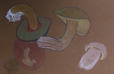 Když rostou...práce klienta 2025, kresba barevnými pastelkami.